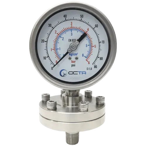 เพรสเชอร์เกจ pressure gauge diaphragm seal ds flange octa front